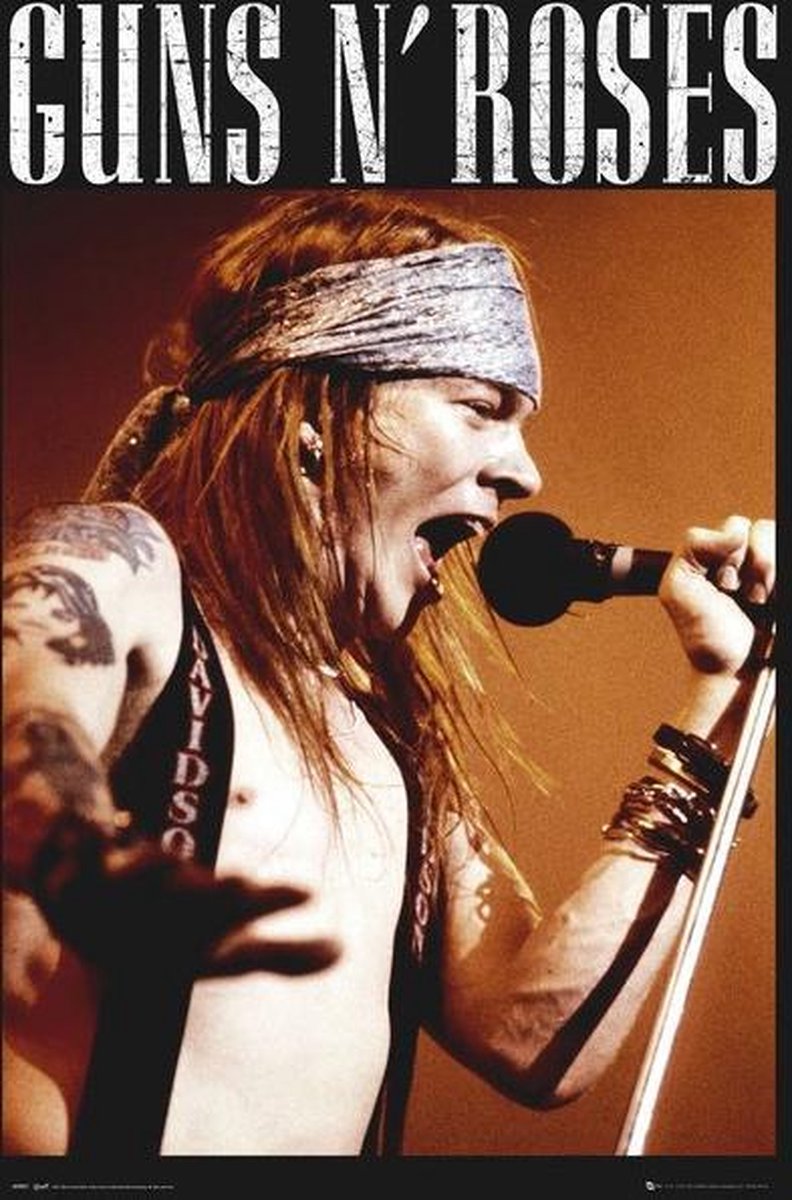 Guns N Roses Axel - Maxi Poster (43D)
