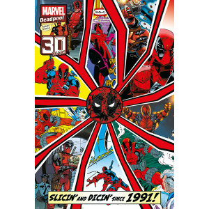 Deadpool Shattered  - Maxi Poster (667F)