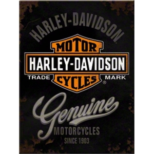 Harley-Davidson Genuine Magneet