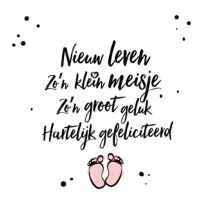 Nieuw Leven Zo'n Klein Meisje Zo'n Groot Geluk Hartelijk Gefeliciteerd