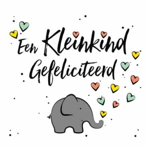 Een Kleinkind Gefeliciteerd