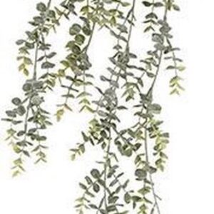 Kunstplant Eucalyptus Hang Vine - Groen