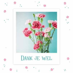 Dank Je Wel (Vak 15)