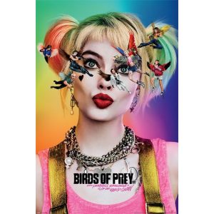 Birds Of Prey: Seeing Stars - Maxi Poster (678)