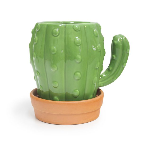 Cactus Mok