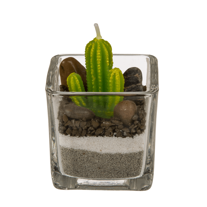 Cactus Kaars In Glas