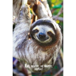 Eat, Sleep, Be Happy, Repeat - Maxi Poster (759)