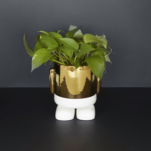 Balvi Mr. Standy Gouden Bloempot