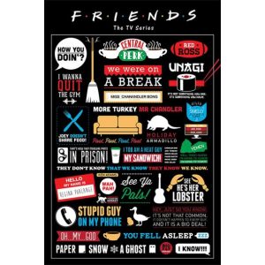 Friends TV Show: Infographic - Maxi Poster (631/25D)