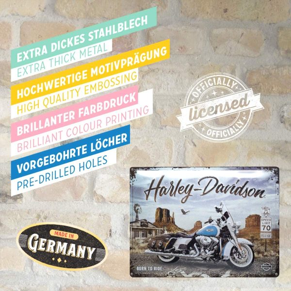 Harley Davidson Route 66 Road King Classic - Metalen Wandplaat