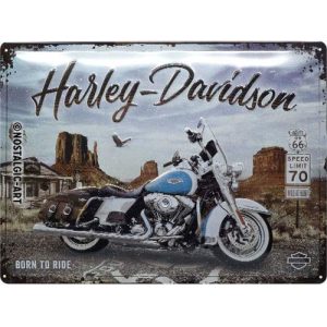 Harley Davidson Route 66 Road King Classic - Metalen Wandplaat