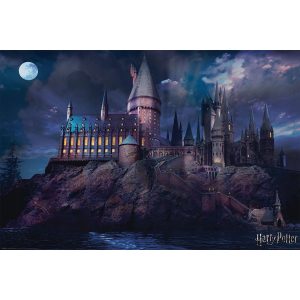 Harry Potter: Hogwarts - Maxi Poster (607)