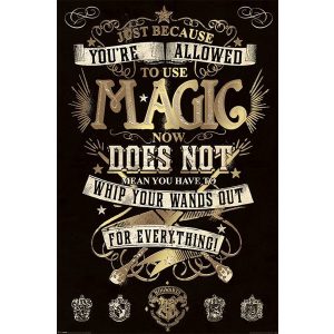 Harry Potter Magic - Maxi Poster (703/34D)