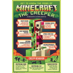 Minecraft: Creepy Behaviour - Maxi Poster (C-697)