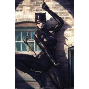 Catwoman Spot Light - Maxi Poster (671)