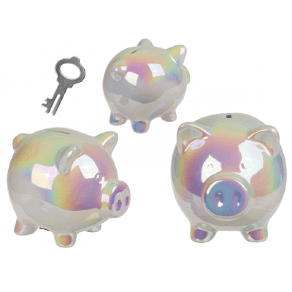 Shiny Piggy Spaarpot Met Slot