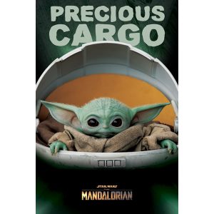 Star Wars: The Mandalorian - Precious Cargo - Maxi Poster (691)