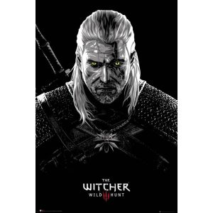 The Witcher: Toxicity Poisining - Maxi Poster (617)