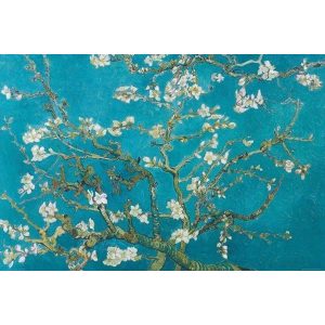 Vincent Van Gogh: Amandelbloesem - Maxi Poster (713)